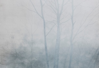 佐々木理恵子「森へ-霧-」日本画F50号